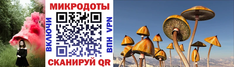 Галлюциногенные грибы GOLDEN TEACHER  Купить закладки  Мензелинск 